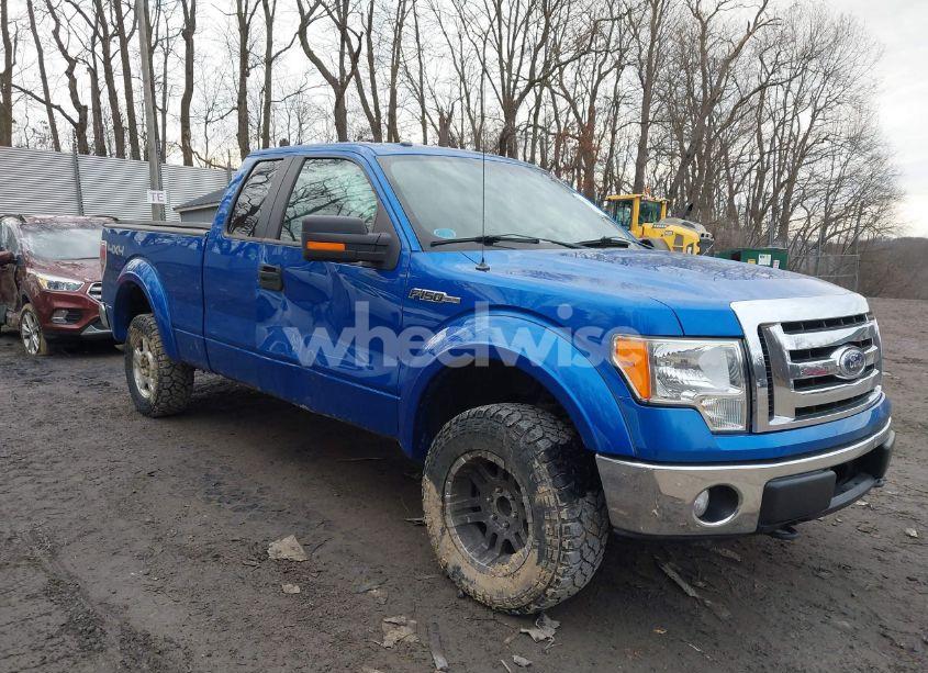 2010 Ford F-150 FX4/LARIAT/XL/XLT (VIN 1FTFX1EV9AFC69175) main photo