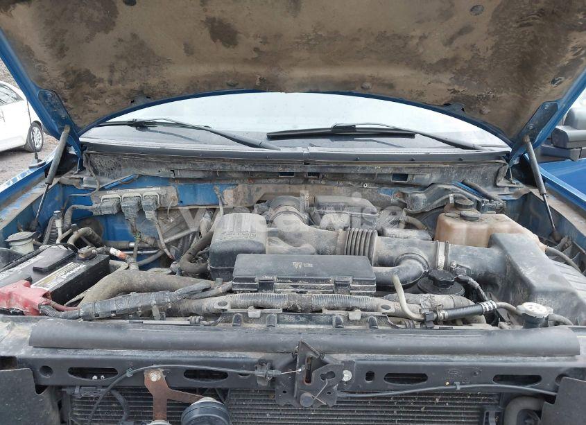 Photo 10 of 2010 Ford F-150 FX4/LARIAT/XL/XLT (VIN 1FTFX1EV9AFC69175)