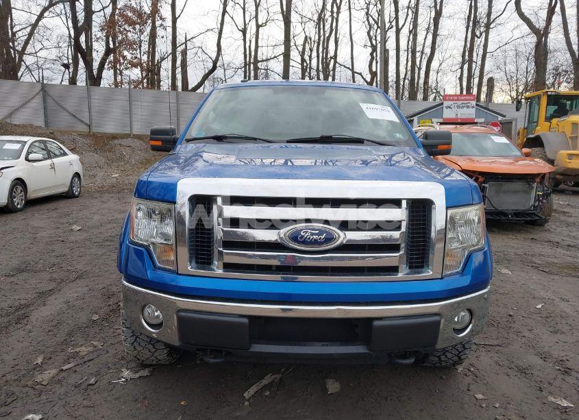 Photo 13 of 2010 Ford F-150 FX4/LARIAT/XL/XLT (VIN 1FTFX1EV9AFC69175)
