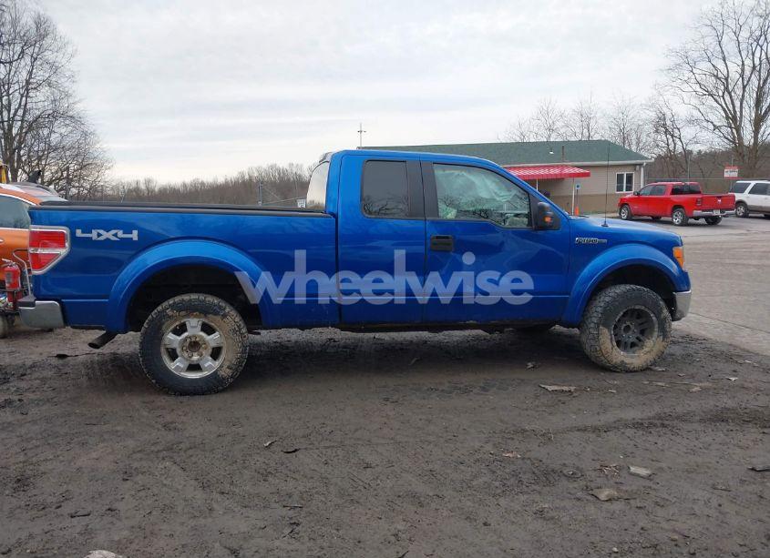 Photo 14 of 2010 Ford F-150 FX4/LARIAT/XL/XLT (VIN 1FTFX1EV9AFC69175)