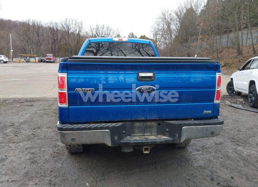 Photo 17 of 2010 Ford F-150 FX4/LARIAT/XL/XLT (VIN 1FTFX1EV9AFC69175)