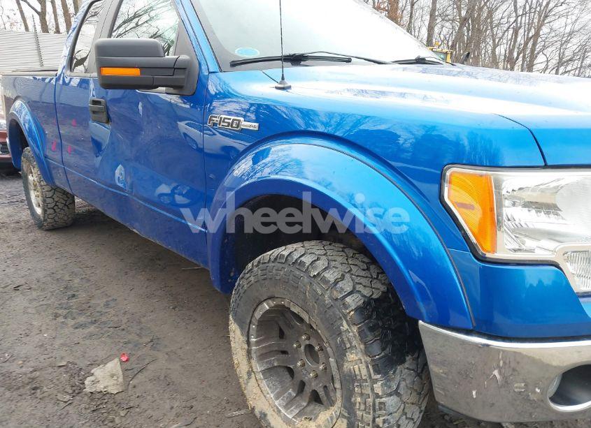 Photo 19 of 2010 Ford F-150 FX4/LARIAT/XL/XLT (VIN 1FTFX1EV9AFC69175)