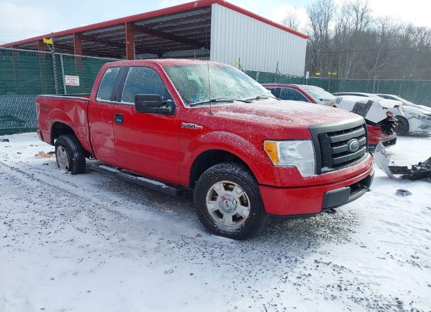 2010 Ford F-150 FX4/LARIAT/XL/XLT (VIN 1FTFX1EV9AFD26281) main photo