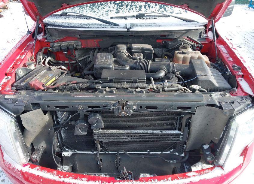 Photo 10 of 2010 Ford F-150 FX4/LARIAT/XL/XLT (VIN 1FTFX1EV9AFD26281)