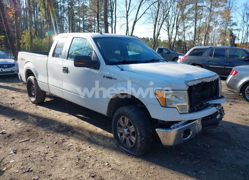 2010 Ford F-150 FX4/LARIAT/XL/XLT (VIN 1FTFX1EV9AFD60155) main photo