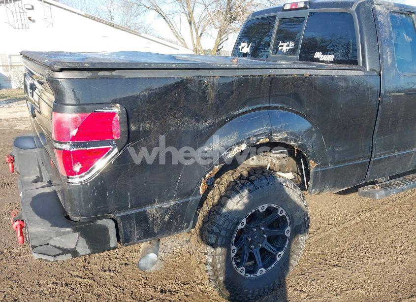 Photo 15 of 2010 Ford F-150 FX4 (VIN 1FTFX1EV9AKE48615)