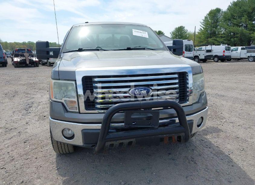 Photo 12 of 2010 Ford F-150 FX4/LARIAT/XL/XLT (VIN 1FTFX1EVXAFB78125)