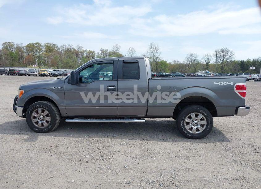 Photo 14 of 2010 Ford F-150 FX4/LARIAT/XL/XLT (VIN 1FTFX1EVXAFB78125)