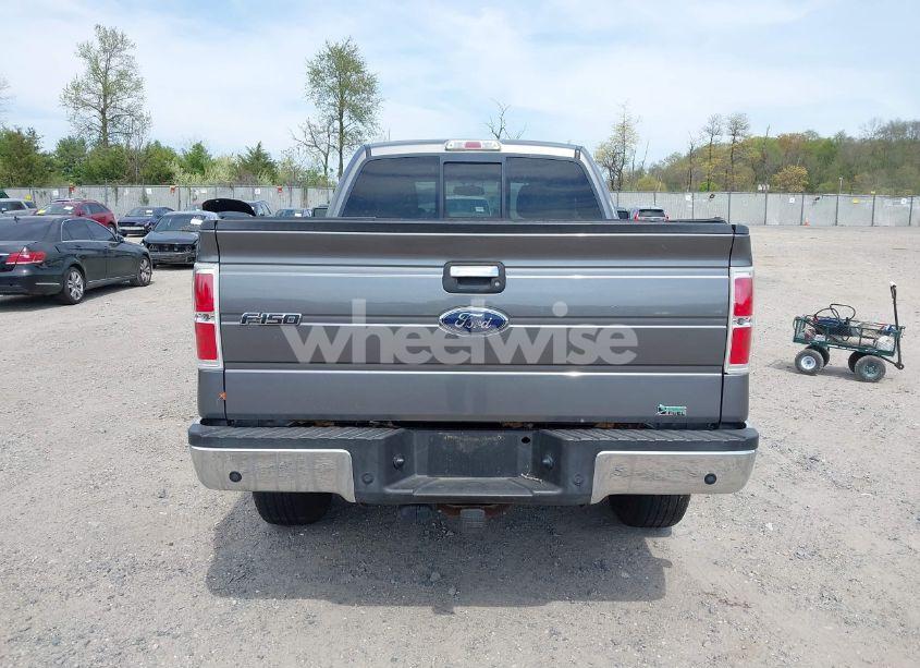 Photo 16 of 2010 Ford F-150 FX4/LARIAT/XL/XLT (VIN 1FTFX1EVXAFB78125)
