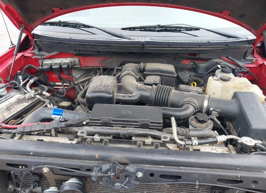 Photo 10 of 2010 Ford F-150 FX4/LARIAT/XL/XLT (VIN 1FTFX1EVXAFC97342)