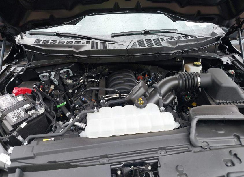 Photo 10 of 2024 Ford F-150 STX (VIN 1FTFX2L50RKD96442)