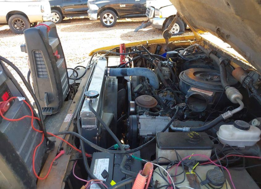 Photo 10 of 1992 Ford F250 N/A (VIN 1FTHF25M9NNB15523)