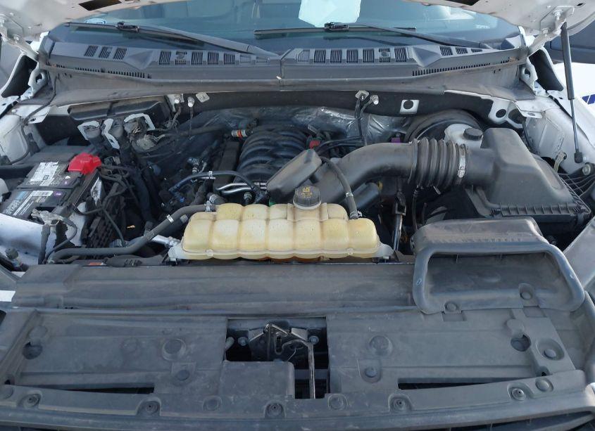 Photo 10 of 2019 Ford F-150 XL (VIN 1FTMF1C52KKC90777)