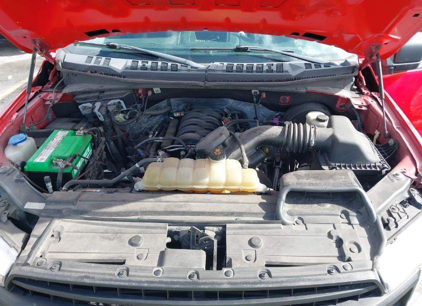 Photo 10 of 2019 Ford F-150 XL (VIN 1FTMF1C53KKE09405)