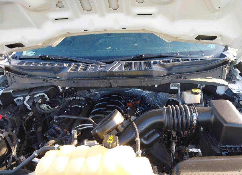 Photo 10 of 2021 Ford F-150 XL (VIN 1FTMF1C54MKE21999)