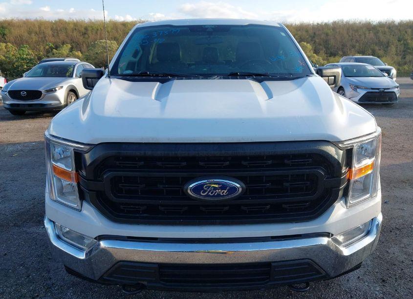 Photo 12 of 2021 Ford F-150 XL (VIN 1FTMF1C54MKE21999)