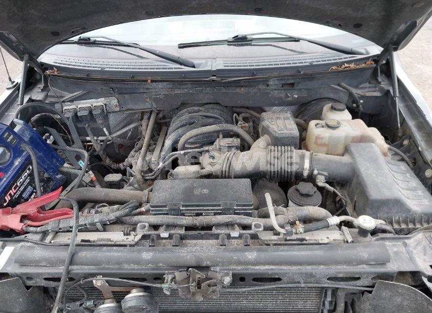 Photo 10 of 2010 Ford F-150 XL/XLT (VIN 1FTMF1C8XAKA97981)