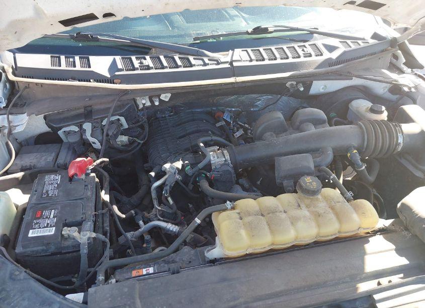 Photo 10 of 2019 Ford F-150 XL (VIN 1FTMF1CB0KKE51472)