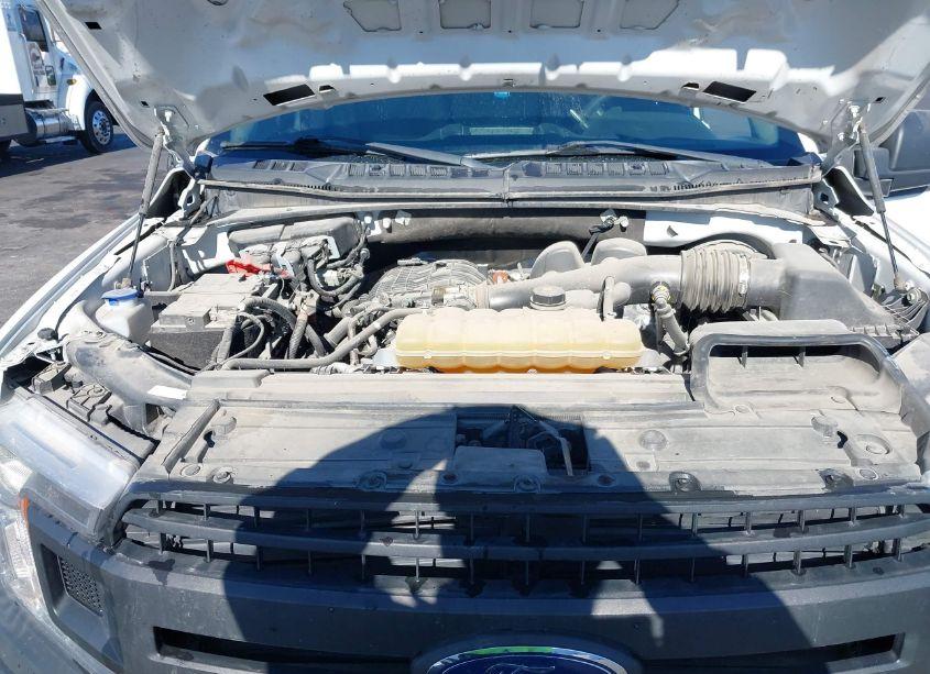 Photo 10 of 2020 Ford F-150 XL (VIN 1FTMF1CB0LKF11462)