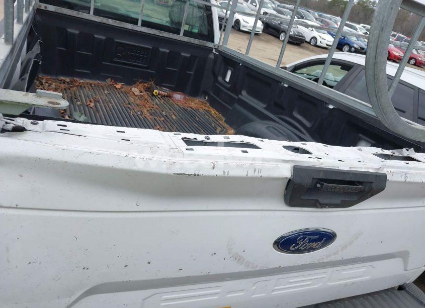 Photo 17 of 2019 Ford F-150 XL (VIN 1FTMF1CB1KKC54875)