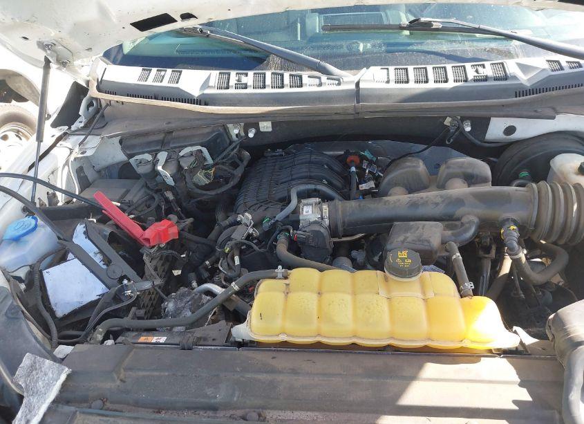 Photo 10 of 2019 Ford F-150 XL (VIN 1FTMF1CB1KKD22754)