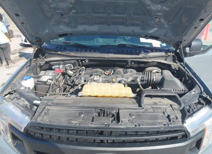 Photo 10 of 2019 Ford F-150 XL (VIN 1FTMF1CB1KKD81741)