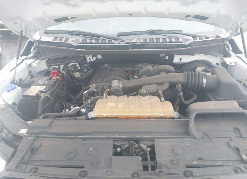 Photo 10 of 2020 Ford F-150 XL (VIN 1FTMF1CB1LKE96812)