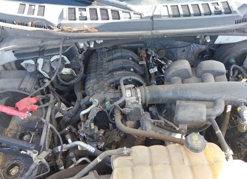 Photo 6 of 2019 Ford F-150 XL (VIN 1FTMF1CB2KKE51473)