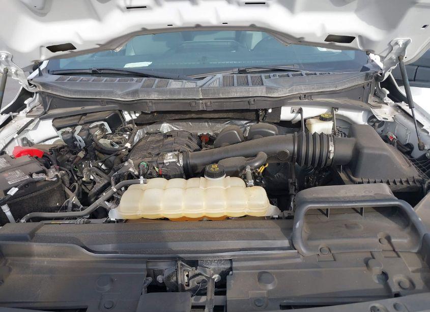 Photo 10 of 2021 Ford F-150 XL (VIN 1FTMF1CB2MKD58262)