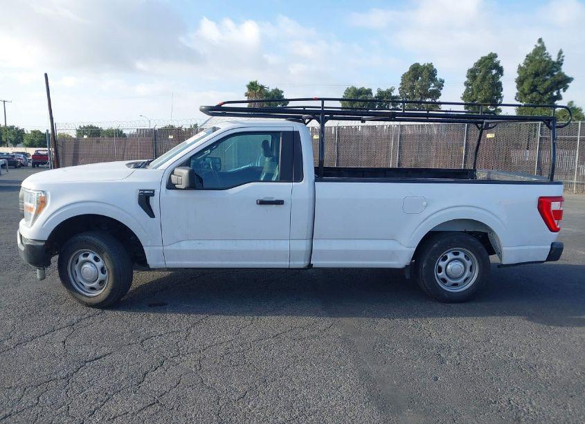 Photo 14 of 2021 Ford F-150 XL (VIN 1FTMF1CB2MKD58262)