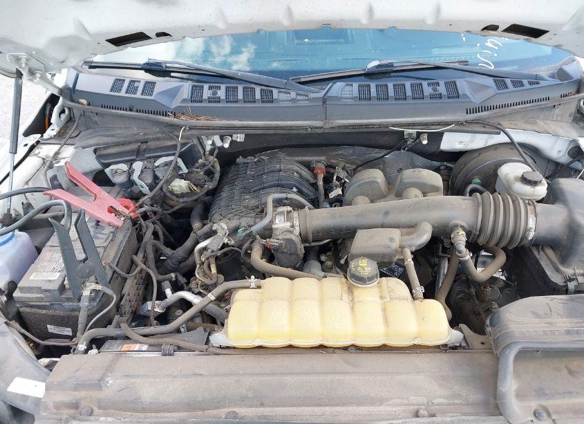 Photo 10 of 2019 Ford F-150 XL (VIN 1FTMF1CB3KKE51482)