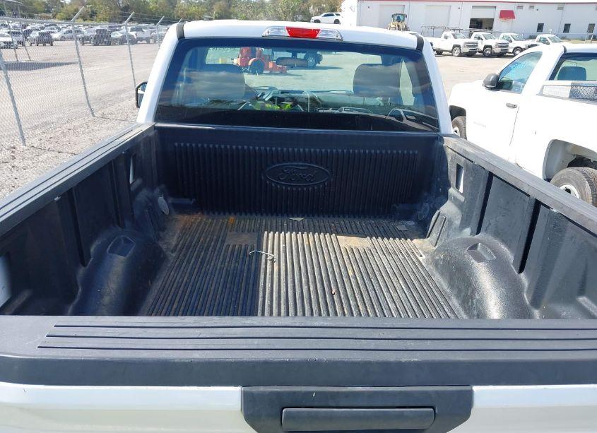 Photo 8 of 2019 Ford F-150 XL (VIN 1FTMF1CB3KKE51482)