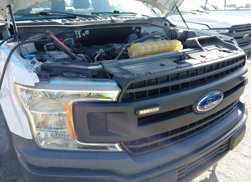 Photo 12 of 2019 Ford F-150 XL (VIN 1FTMF1CB3KKE51501)
