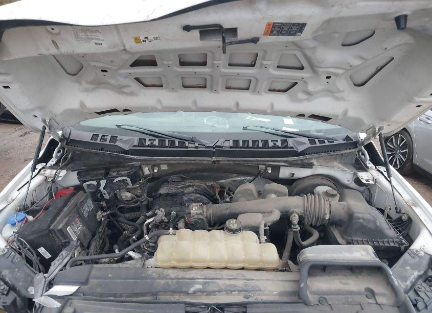 Photo 10 of 2020 Ford F-150 XL (VIN 1FTMF1CB3LKD81886)