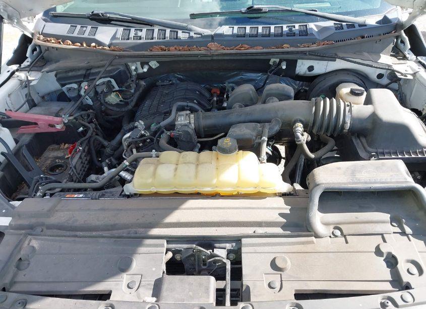 Photo 10 of 2019 Ford F-150 XL (VIN 1FTMF1CB4KKE51488)