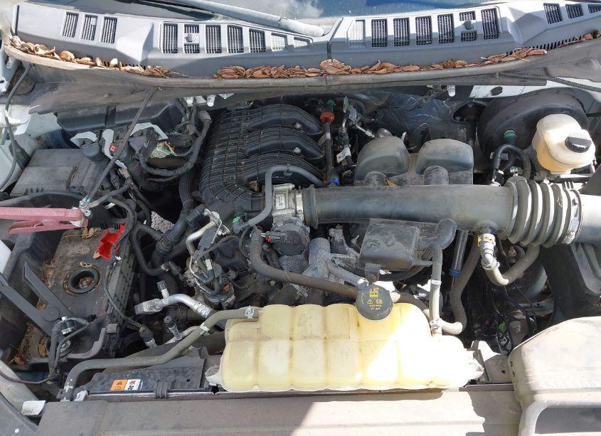 Photo 6 of 2019 Ford F-150 XL (VIN 1FTMF1CB4KKE51488)