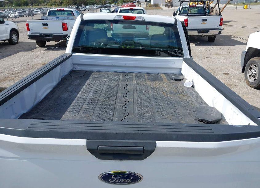 Photo 8 of 2019 Ford F-150 XL (VIN 1FTMF1CB4KKE51488)