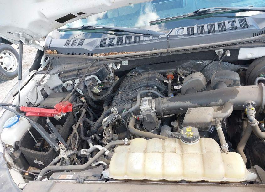 Photo 10 of 2019 Ford F-150 XL (VIN 1FTMF1CB4KKE51510)