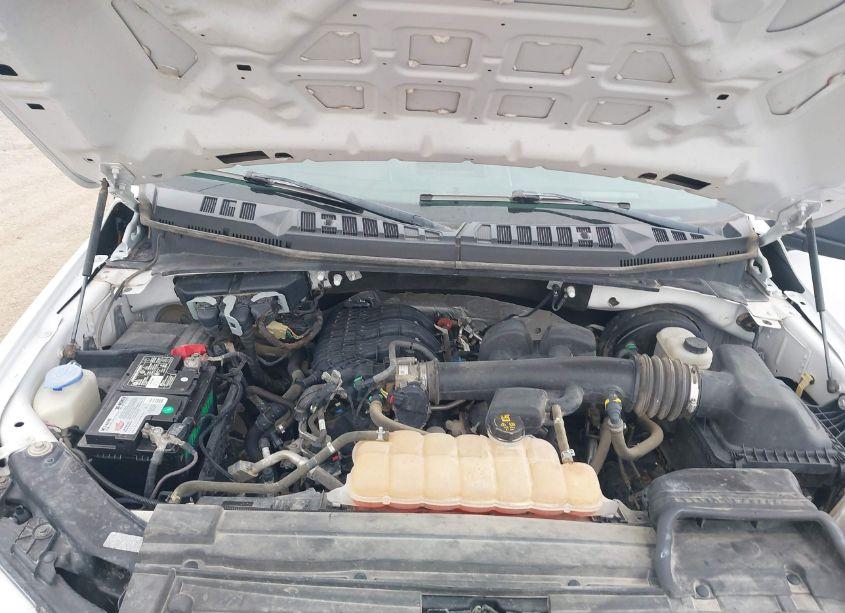 Photo 10 of 2019 Ford F-150 XL (VIN 1FTMF1CB5KKC16579)