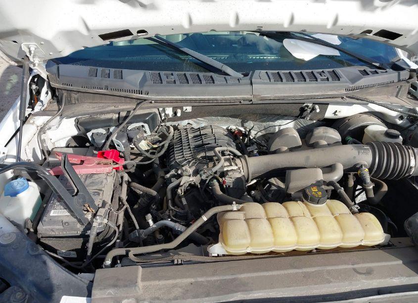 Photo 10 of 2019 Ford F-150 XL (VIN 1FTMF1CB6KKE51508)