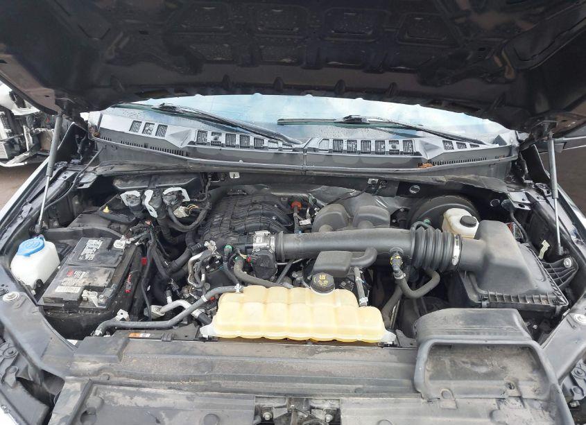 Photo 10 of 2020 Ford F-150 XL (VIN 1FTMF1CB7LKF01351)