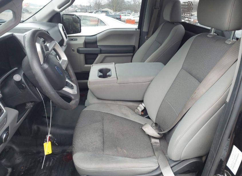 Photo 8 of 2020 Ford F-150 XL (VIN 1FTMF1CB7LKF01351)