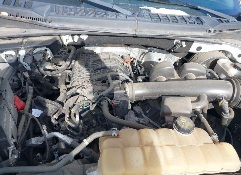 Photo 10 of 2018 Ford F-150 XL (VIN 1FTMF1CB8JKF30967)