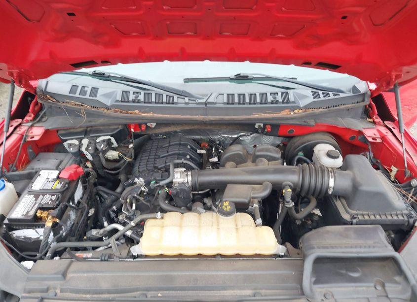 Photo 10 of 2018 Ford F-150 XL (VIN 1FTMF1CB9JFD93269)