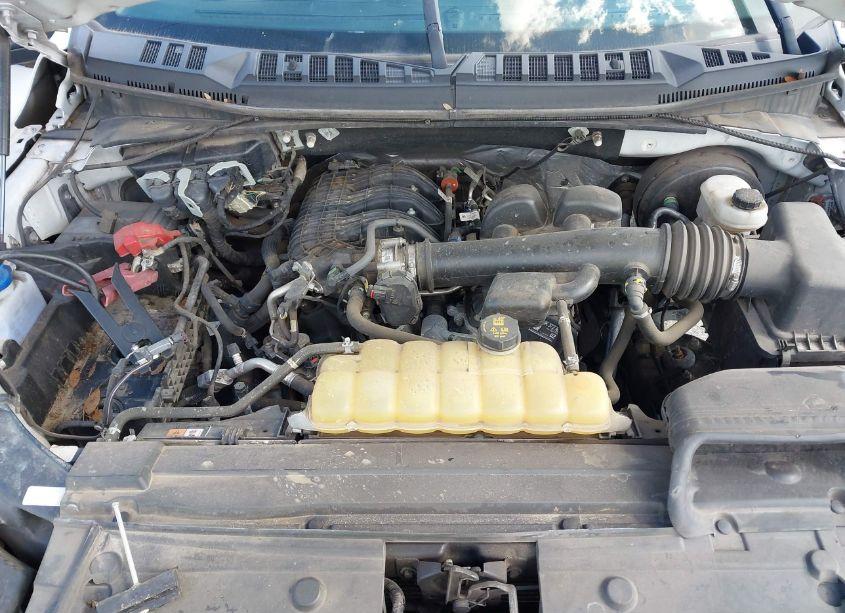 Photo 10 of 2019 Ford F-150 XL (VIN 1FTMF1CB9KKE51471)