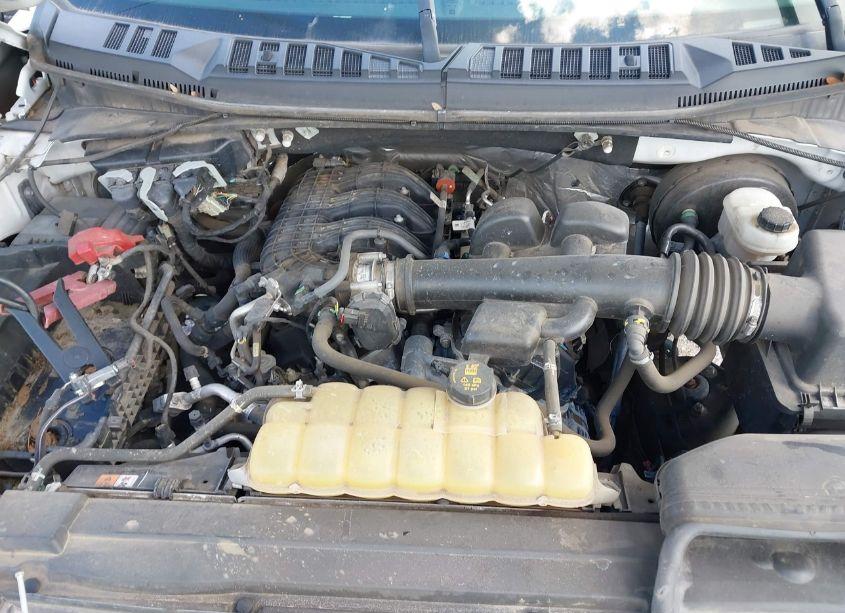 Photo 6 of 2019 Ford F-150 XL (VIN 1FTMF1CB9KKE51471)