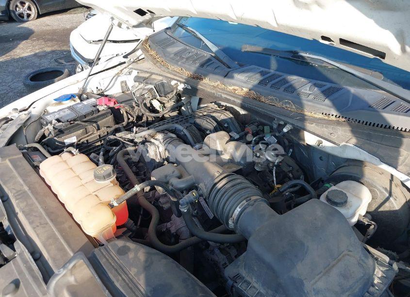 Photo 10 of 2019 Ford F-150 XL (VIN 1FTMF1CBXKKC54874)