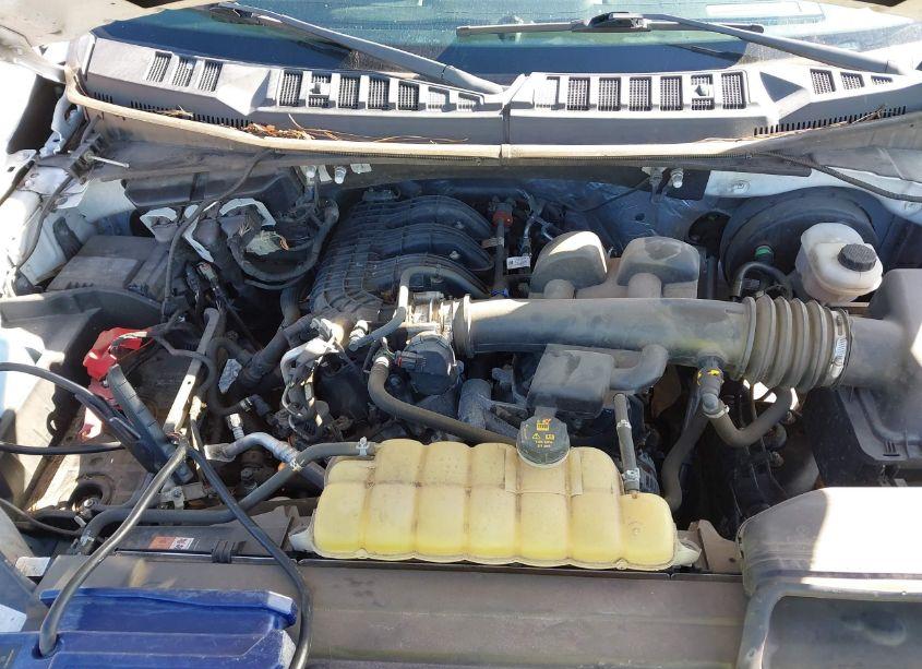 Photo 10 of 2019 Ford F-150 XL (VIN 1FTMF1CBXKKE51477)