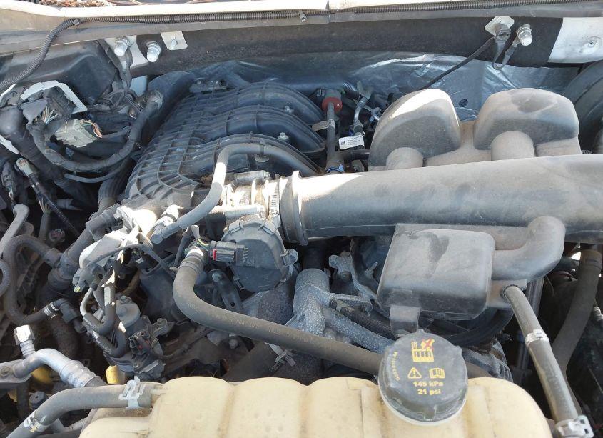 Photo 6 of 2019 Ford F-150 XL (VIN 1FTMF1CBXKKE51477)