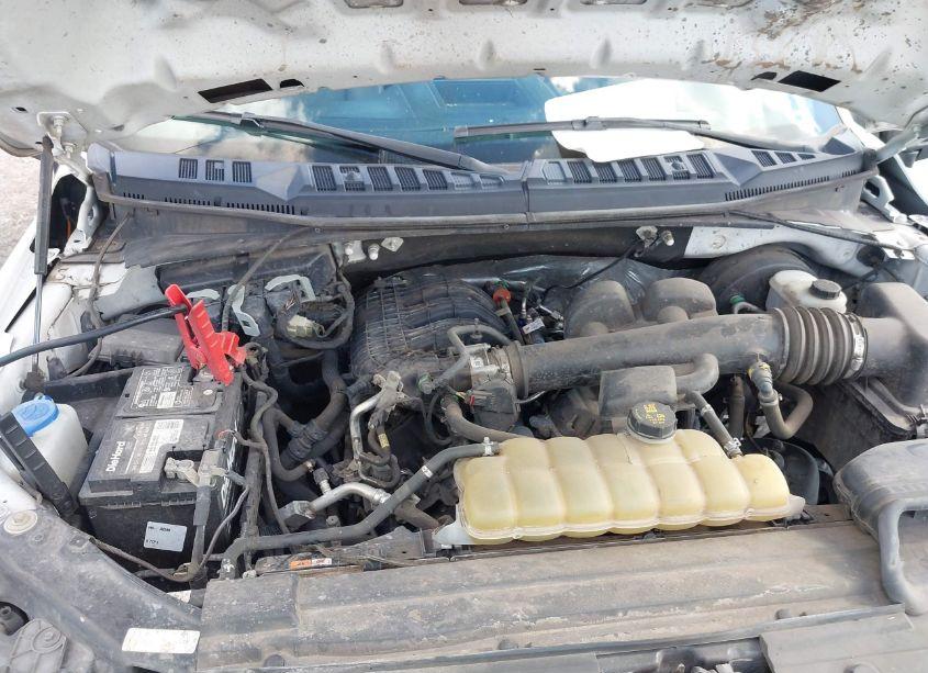 Photo 10 of 2019 Ford F-150 XL (VIN 1FTMF1CBXKKE51480)